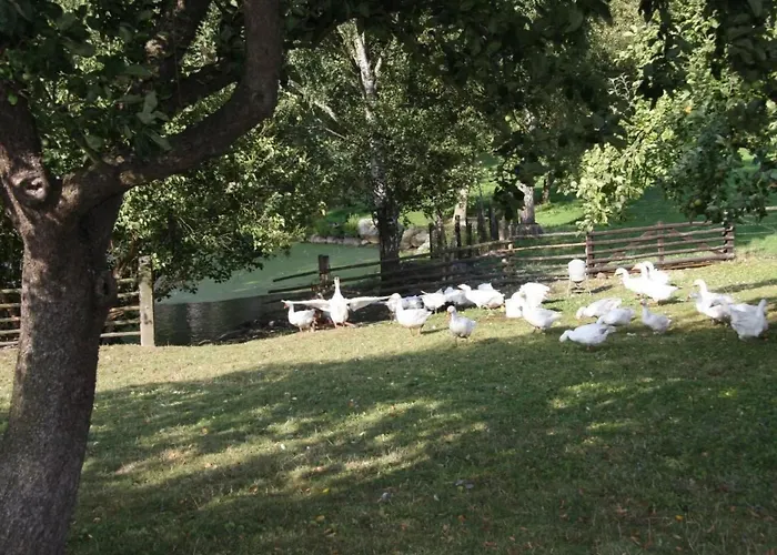 Duxcaar By Interhome بيت للعطل Groß Schwansee